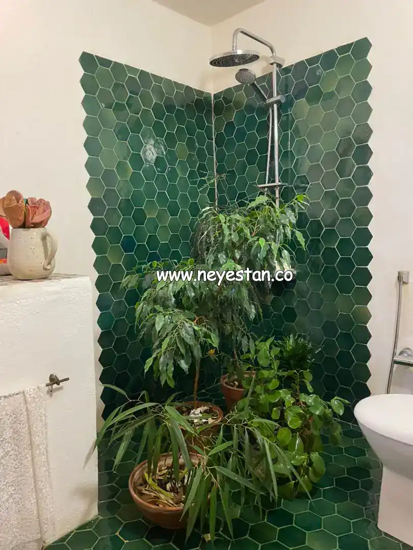 خشت شش ضلعی کار شده در حمام 