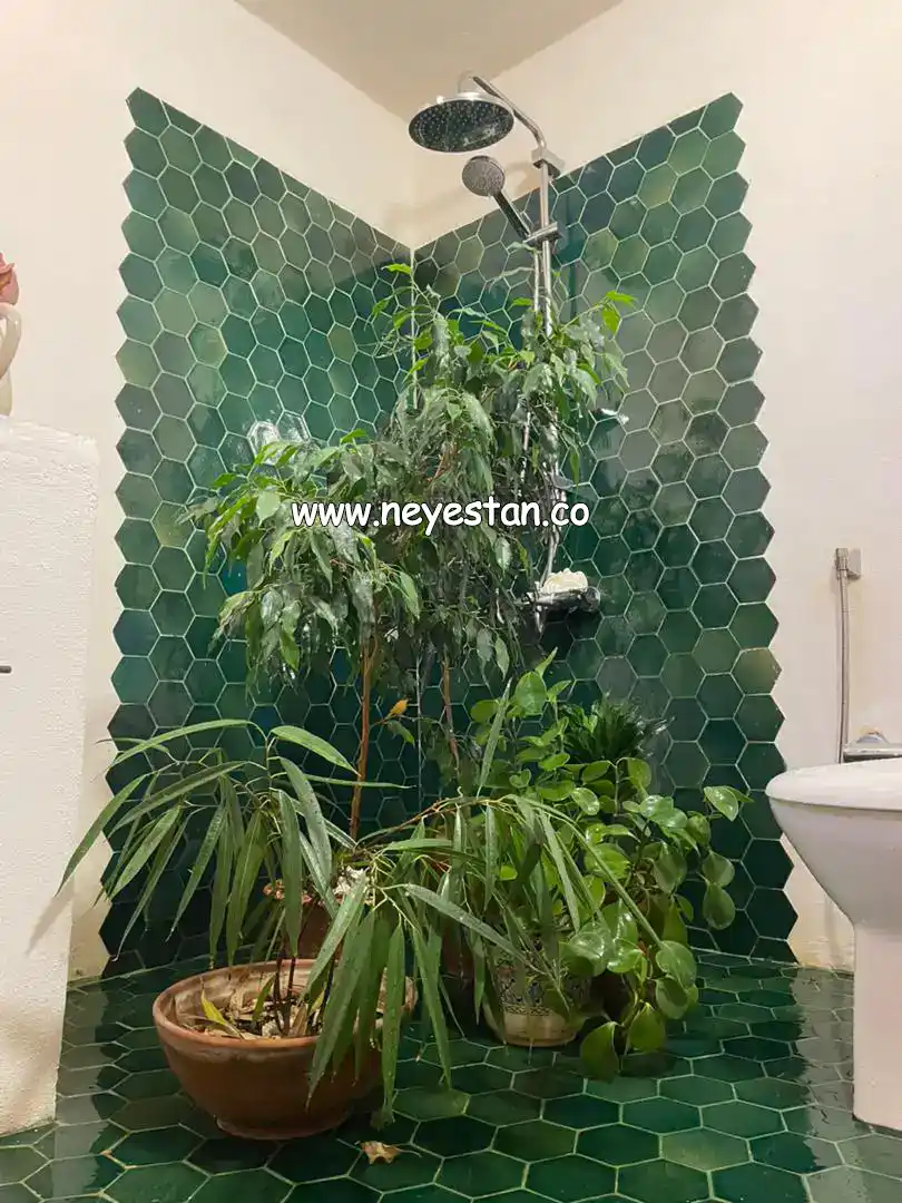 کاشی شش ضلعی سنتی کار شده در حمام و سرویس بهداشتی